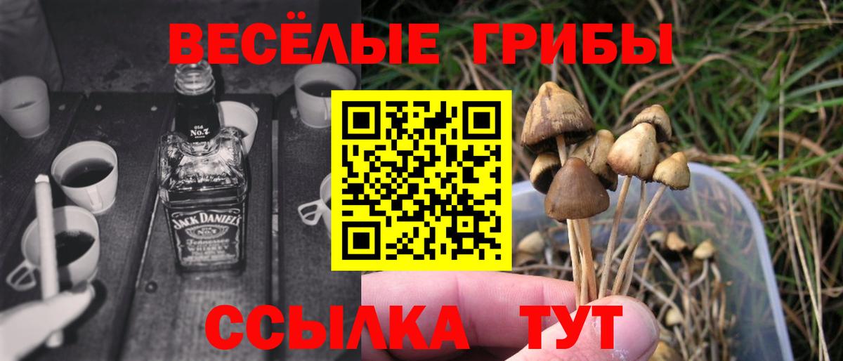 Псилоцибиновые грибы Psilocybe  Псилоцибиновые грибы Psilocybine cubensis  Стрежевой  Вход с VPN 